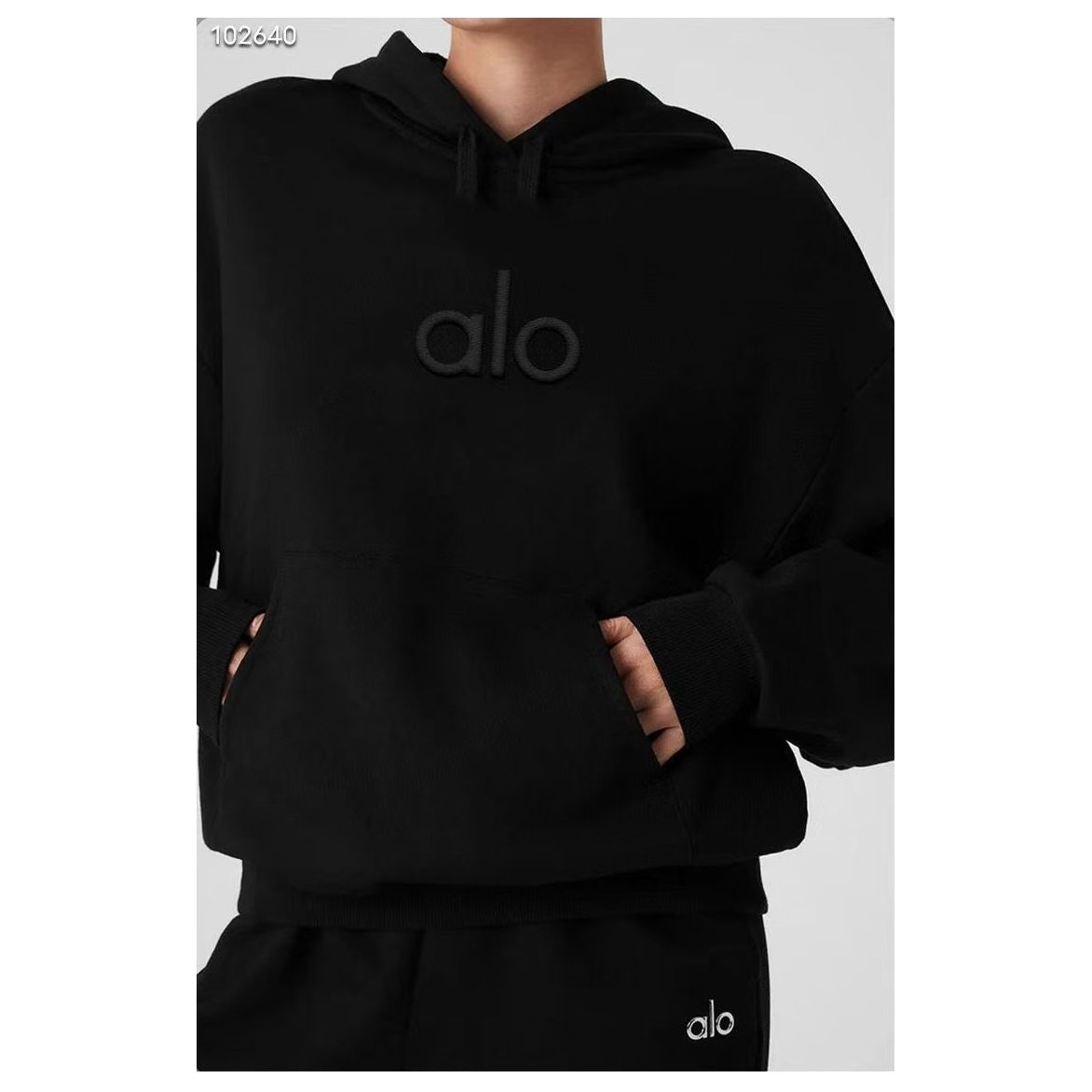 ALO Hoodie